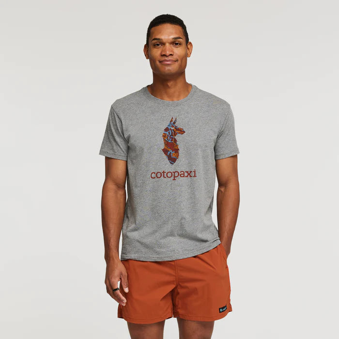Cotopaxi Altitude Llama Shirt